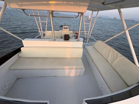 Royal Lady 60 Motor Yachts in Mumbai - photo 5