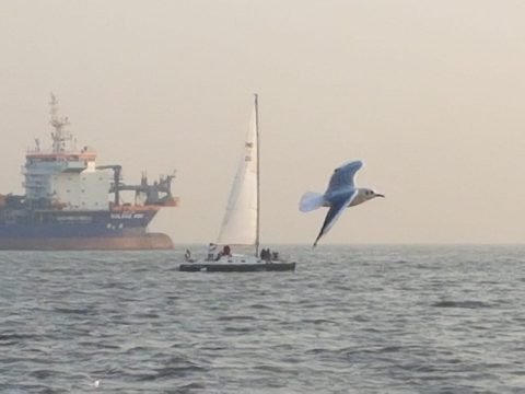XSTIK 27 Sail Yachts in Mumbai - photo 5