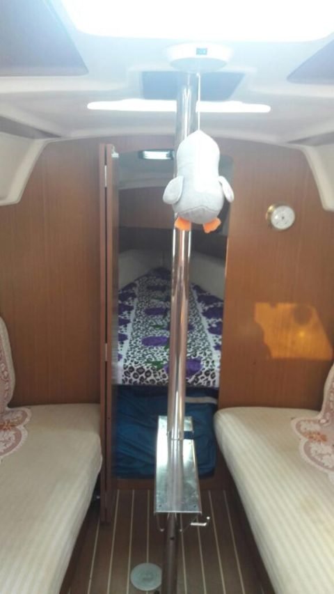 JFL 29 Sail Yachts in Mumbai - photo 10